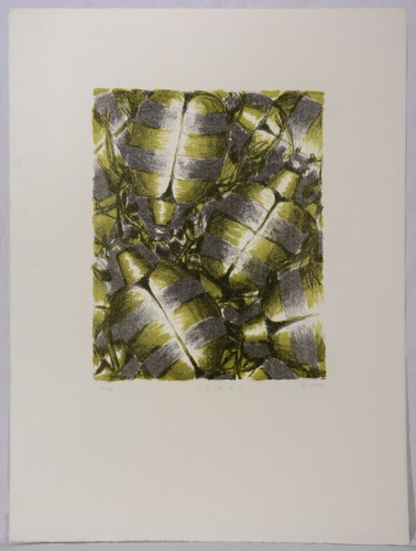 Roman franta litografia - franta:,